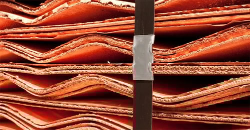 The Ripple Effect: How Tariffs Change the Market